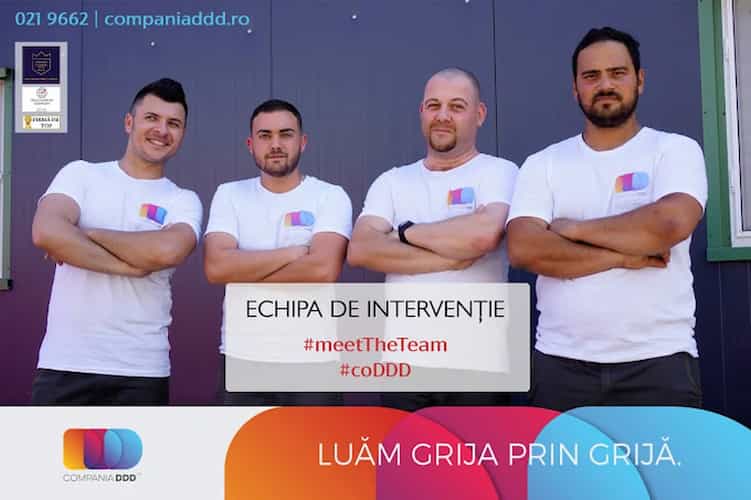 Cum obții cea mai bună ofertă DDD pentru asociații