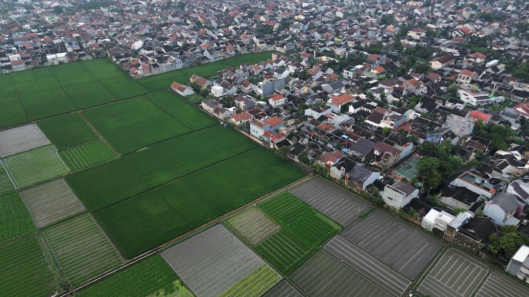 Photo urban agriculture