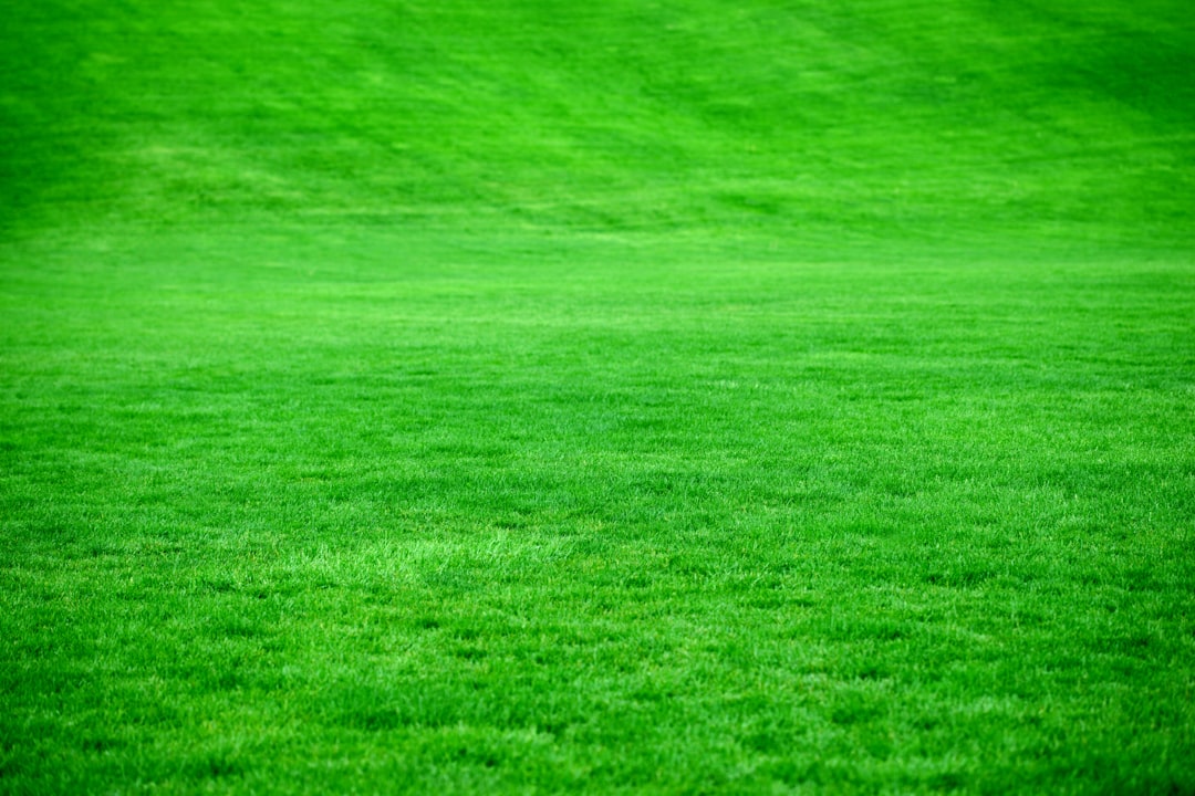 Photo green spaces